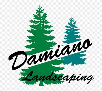 Damiano Landscaping - Lawn Maintenance - Google - Pine Tree Silhouette