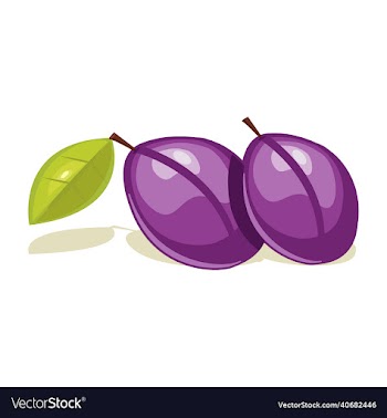 damson plum vegetable