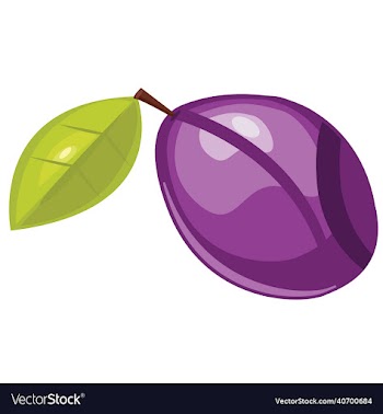 damson plum vegetable