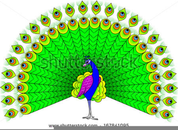 Dancing Peacock Clipart | Free Images at PNGio - vector clip ...