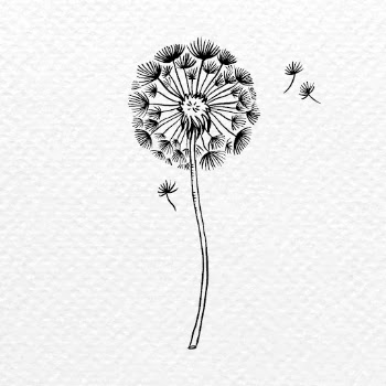 Dandelion flower tattoo art, black | Free PSD Illustration - rawpixel
