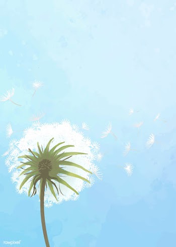 Dandelion greeting card | Free stock vector - 842029