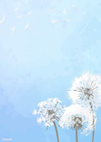 Dandelion greeting card | Free stock vector - 842062