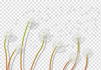 Dandelion Plant frame, Hand painted white plants dandelion transparent background PNG clipart