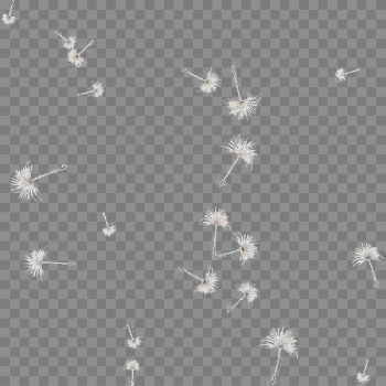 Dandelion PNG Image | PNG Mart