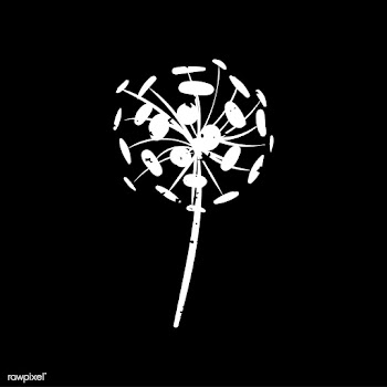 Dandelion seeds | Free stock vector - 381335