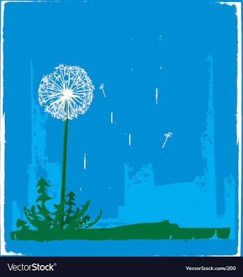 Dandelion vector image