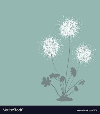 Dandelion vector image