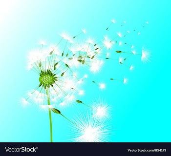 Dandelion vector image