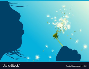 Dandelion vector image