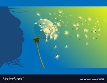 Dandelion vector image