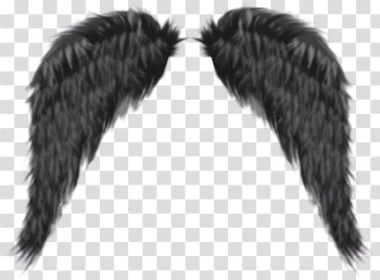Dark Angel Png Hd