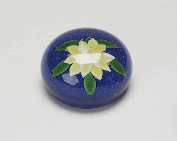 dark blue weight, center yellow | Free Photo - rawpixel