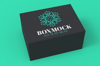 Dark Box and Color Logo Mockup