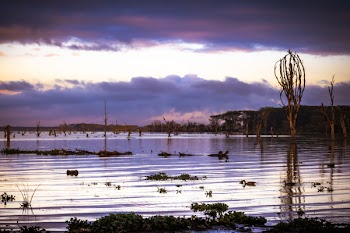 Dark Clouds over Body of Water