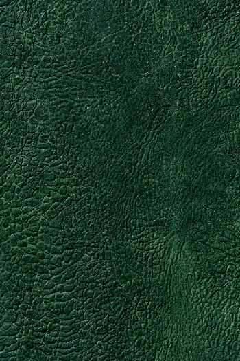 Dark Forest Green Dragon Hide Leather Texture