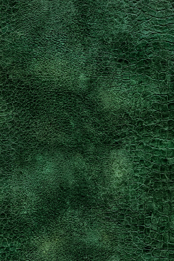 Dark Green Dragon Hide Leather Texture