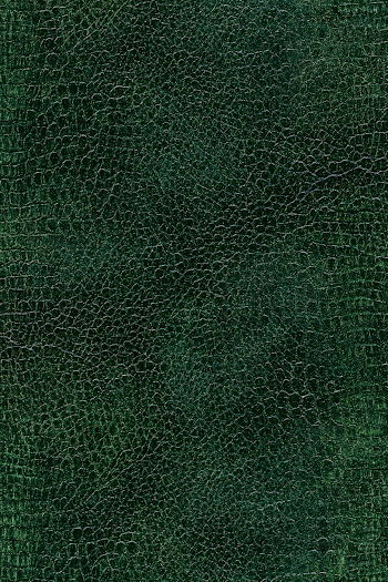 Dark Green Dragon Hide Leather Texture