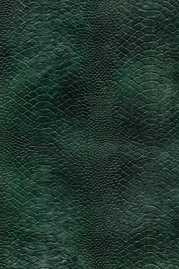 Dark Green Dragon Hide Leather Texture