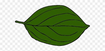 Dark Green Leaf Png