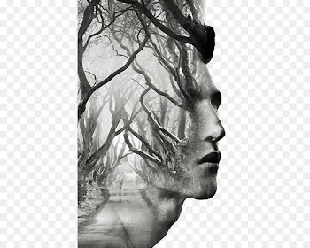 Dark Hedges Tree Art Multiple exposure - Creative Man Avatar 