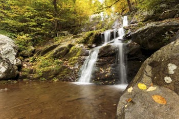 Dark Hollow Falls, forest stream | Free Photo - rawpixel