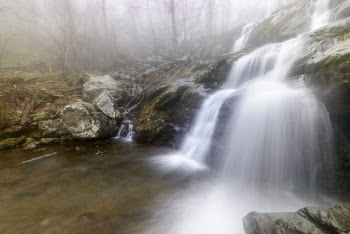 Dark Hollow Falls, forest stream | Free Photo - rawpixel