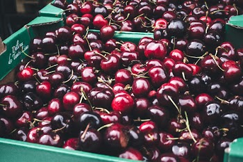 Dark red cherries 