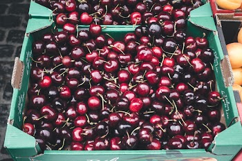 Dark red cherries 