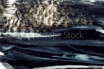 Dark textured oil painting