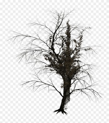 Dark Trees Png Stock 02 By Roy3d - Dark Tree Render