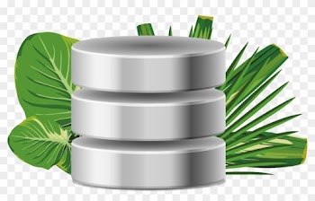 Databases - Christmas Tree