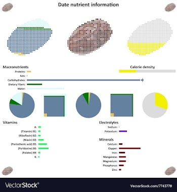 Date nutrient information vector image
