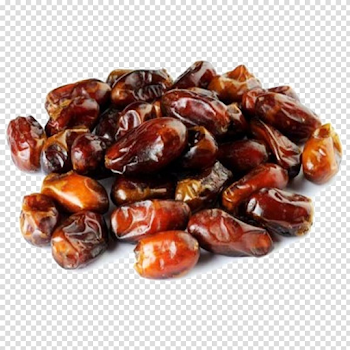 Date Palm PNG Download Image