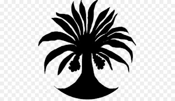 Date Palm Press SmaK Plastics Inc. Clip art Palm trees - date palm 