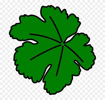 Daun Anggur Vector - Fig Leaf Clip Art