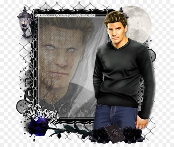 David Boreanaz Angel T-shirt Album cover - angel 