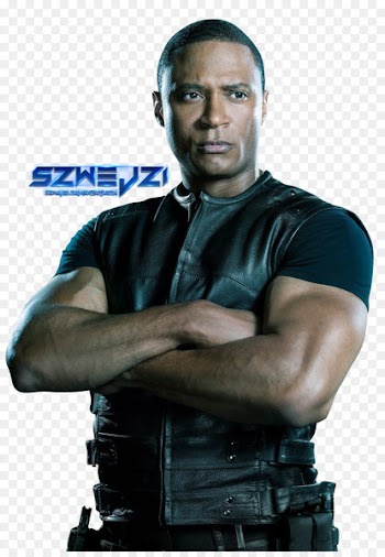 David Ramsey Green Arrow Arrowverse Deathstroke - Arrow 