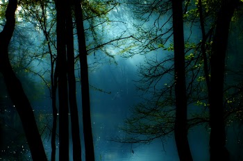 dawn_ginnie_springs.jpg