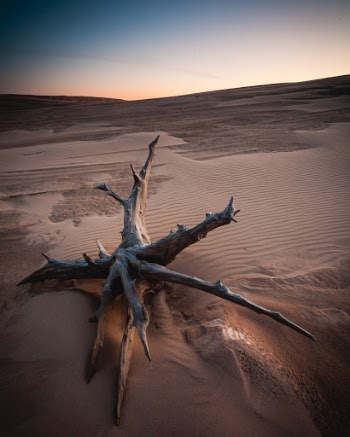 Dawn over sand dunes at Silver Lake State Park, Michigan, USA.