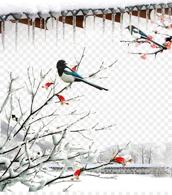 Daxue Lidong Xiaoxue Xiaohan Dongzhi - Snow 