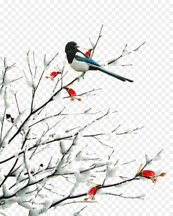 Daxue Xiaoxue Lidong Dongzhi Dahan - Floral decoration 