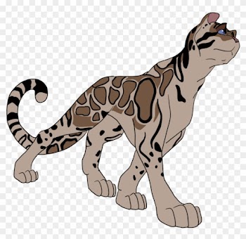 Day 8 Clouded Leopard By Artixi On Deviantart - Clouded Leopard