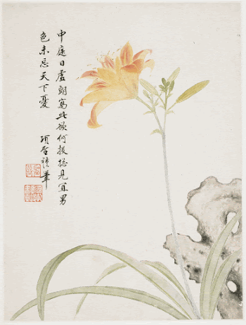 Day-Lily from a Flower Album | Free Photo - rawpixel