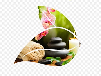 Day spa Beauty Parlour Waxing Hair Care - spa 