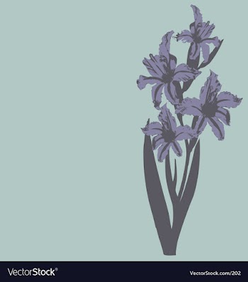 Daylillie illustration vector image