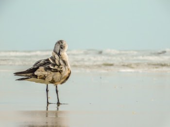 Daytona Beach, Florida