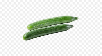 De Bakker Westland C.V. Pickled cucumber Packaging and labeling cardboard - cucumber 