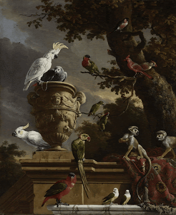 De menagerie, Melchior d' Hondecoeter, | Free Photo - rawpixel