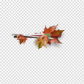 .de Navatrasierra Blog Autumn Soil, others transparent background PNG clipart